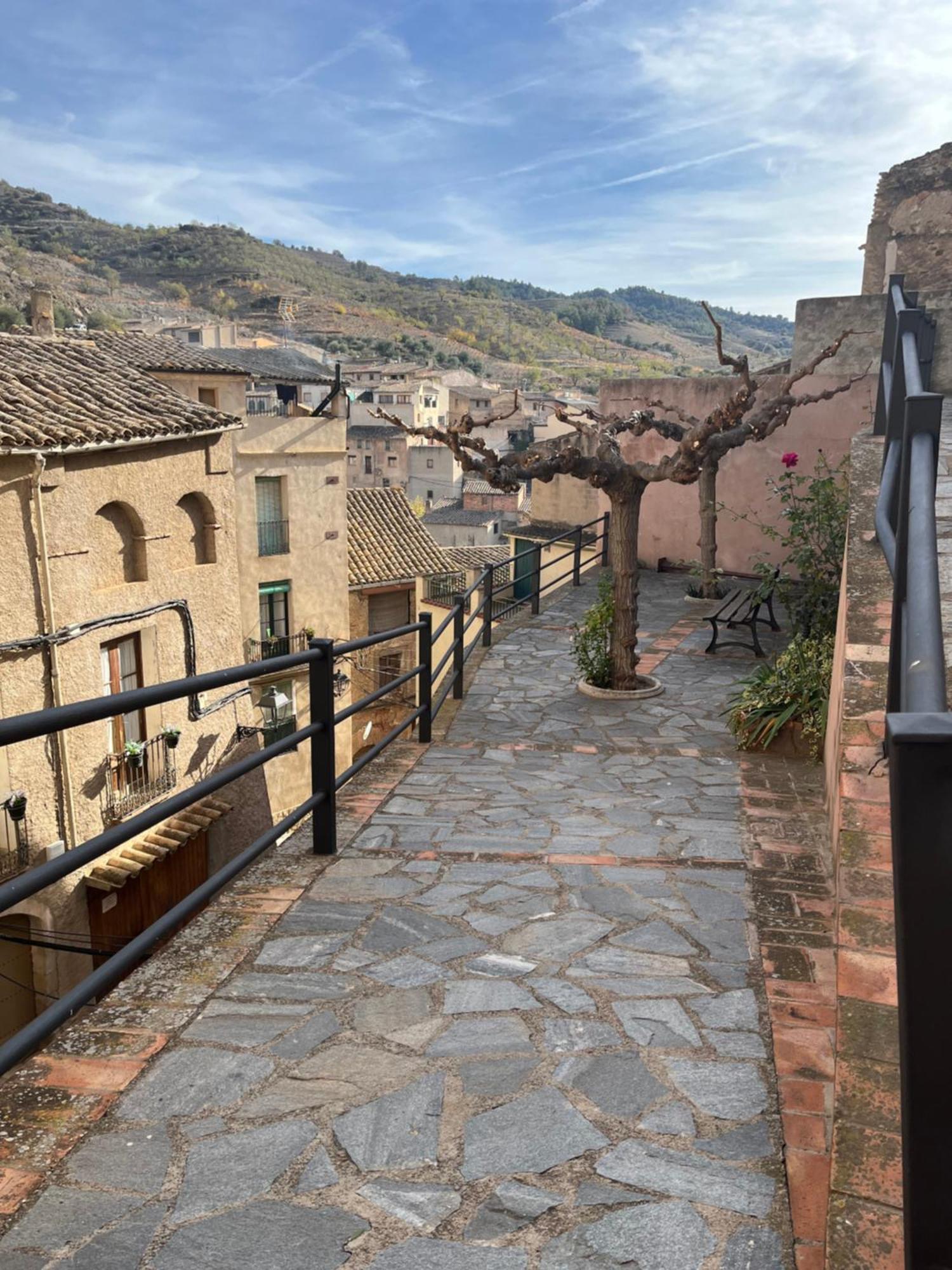 Cal Vellet Del Priorat Vakantiehuis *
